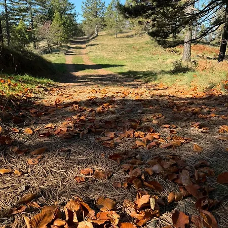 Lägenhet Divcigora Divčibare