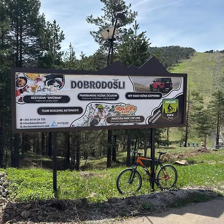 Divcigora Apartment