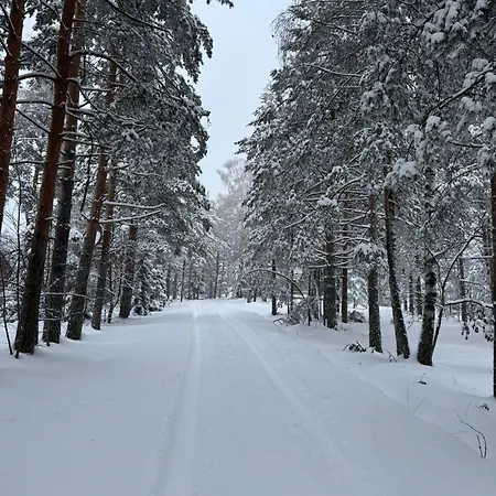 Divcigora דירה *