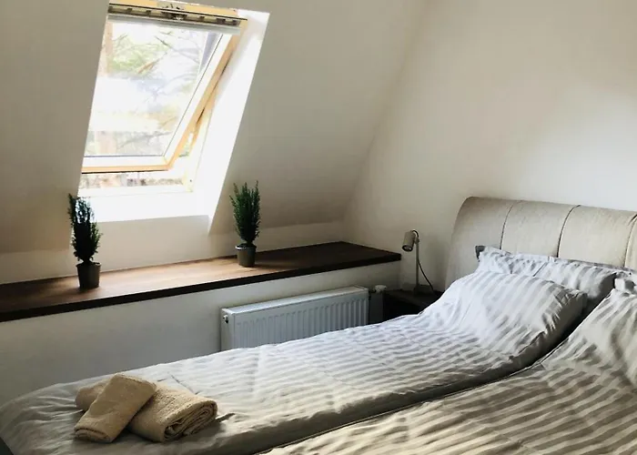 דירה Divcigora *