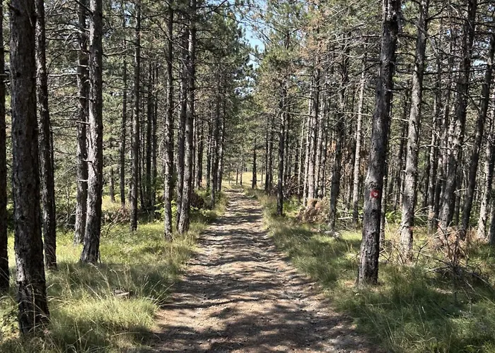 Divcigora דירה *