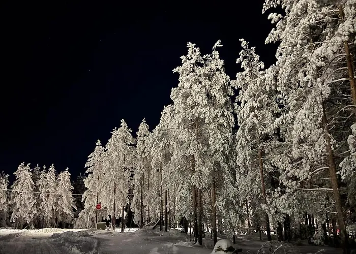 דירה Divcigora Divčibare