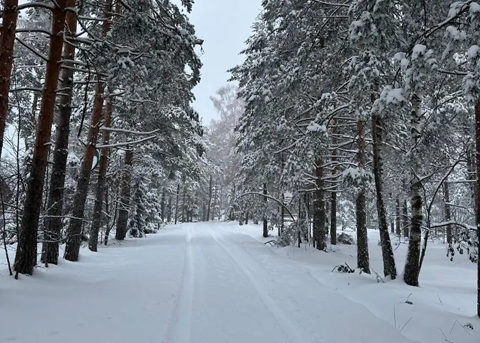 Divcigora דירה *